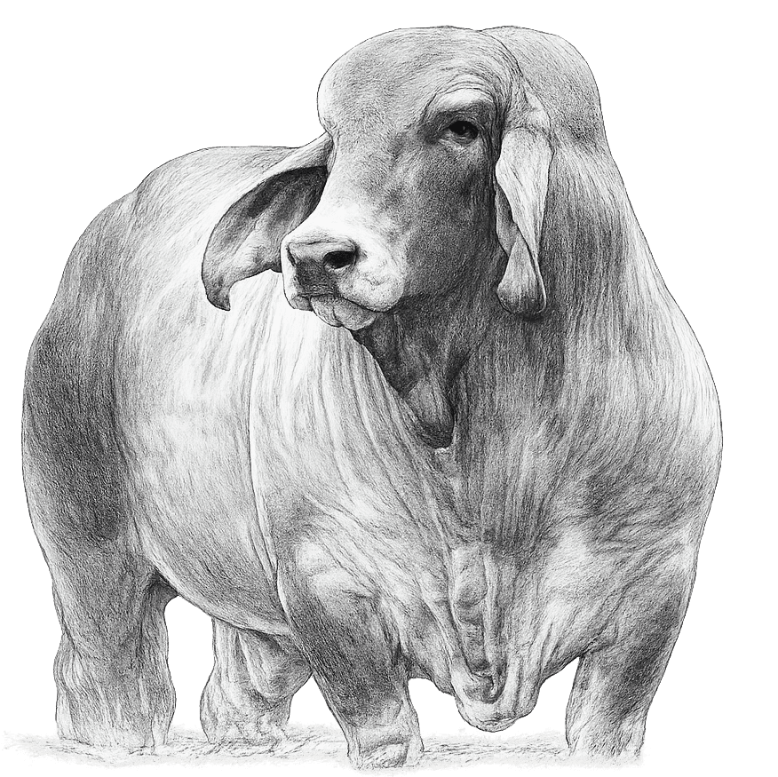 Ilustración de una vaca con datos de salud, reproducción y genética sincronizados en tiempo real